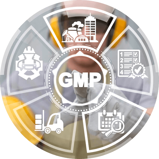 Услуги по стандартам соответствия cGMP EU
